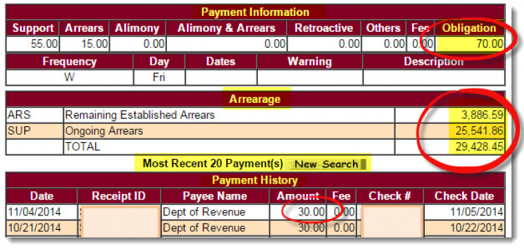 pinellas county docket search